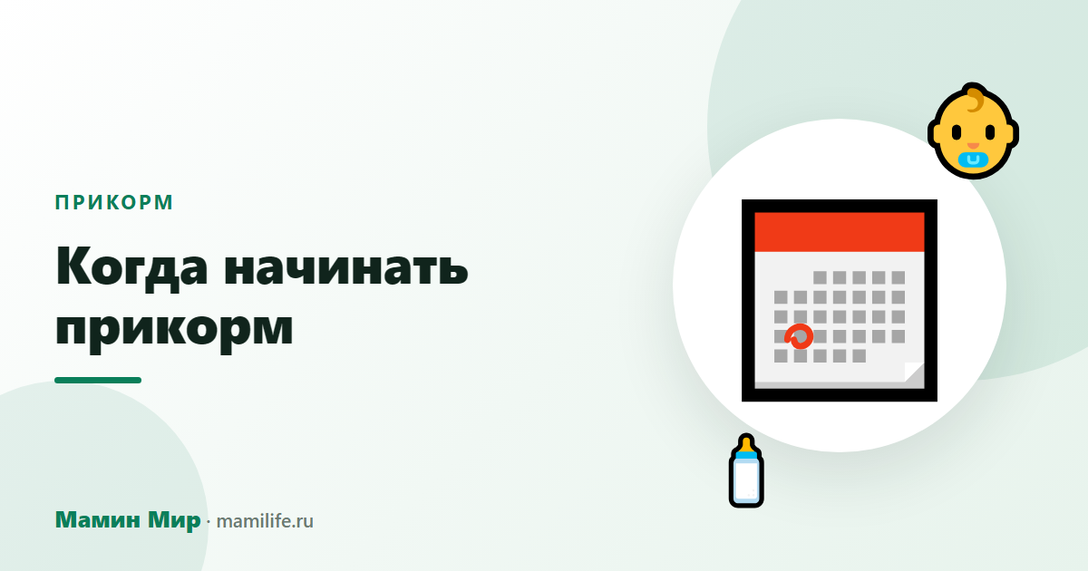 Когда начинать прикорм — иллюстрация, Мамин Мир